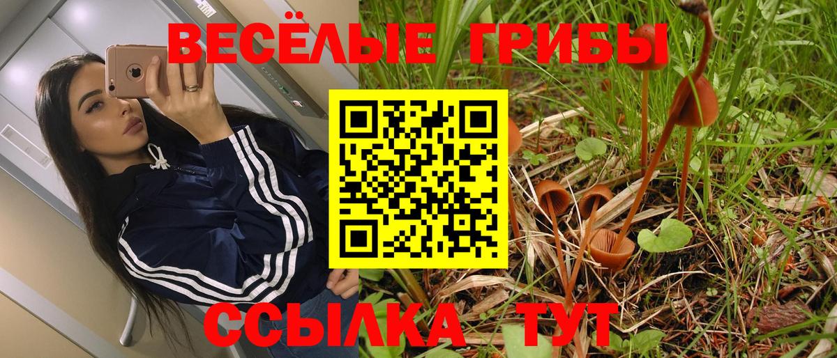 Ирбит  Галлюциногенные грибы ЛСД  Галлюциногенные грибы Cubensis  Вход с VPN 